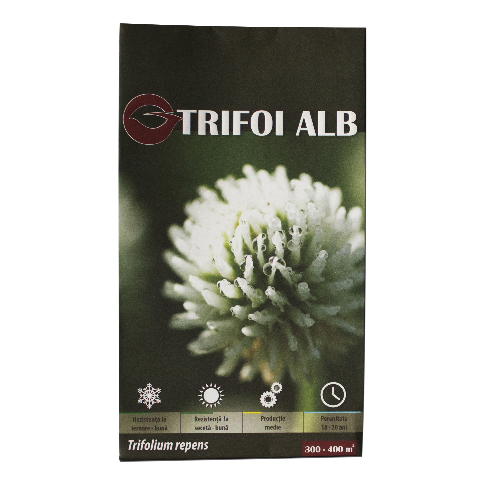 Seminte de Trifoi Alb (Trifolium repens) Gazonul 500g