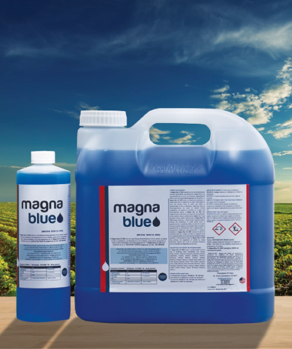 MAGNA BLUE