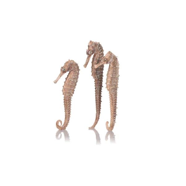 Ornament biOrb (seahorses 3 pack natural S)
