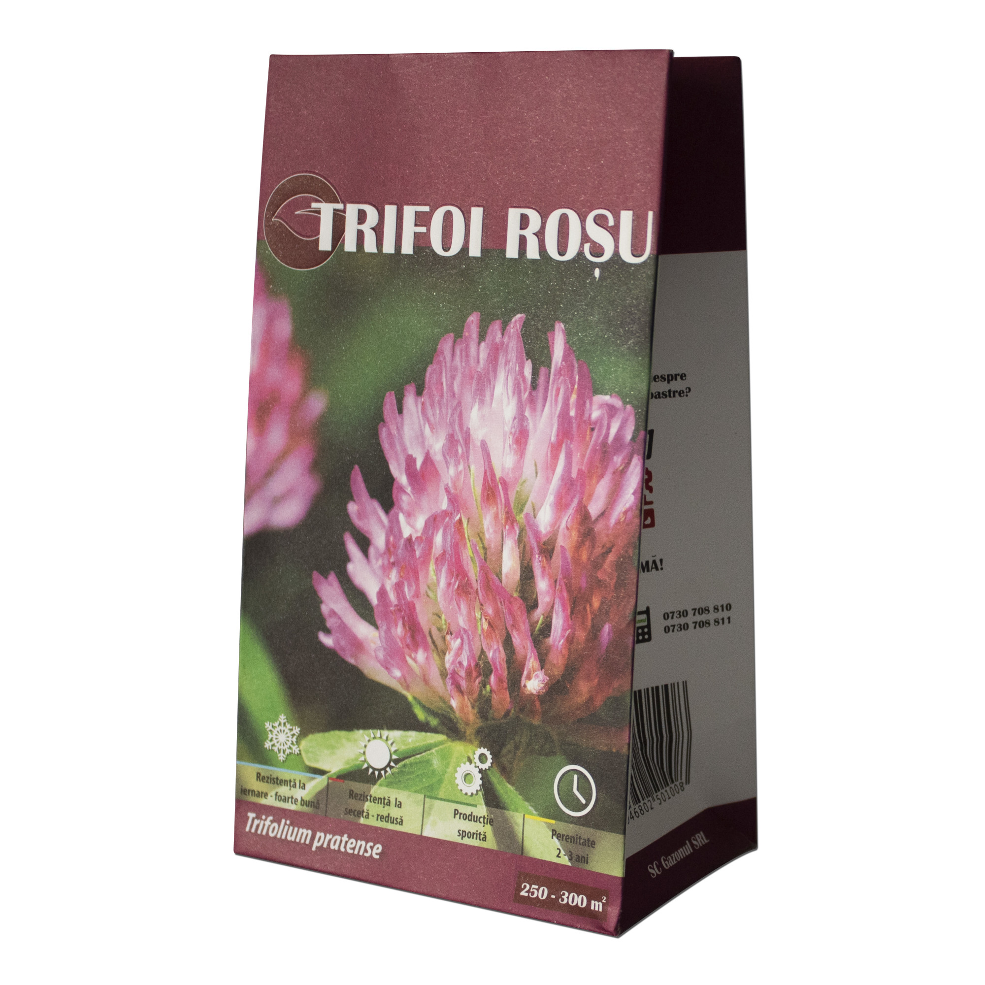 Seminte Trifoi Rosu (Trifolium pratense) Gazonul 500g