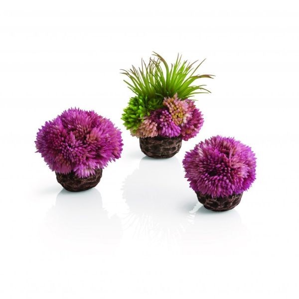 Ornament biOrb (coral ball set purple)