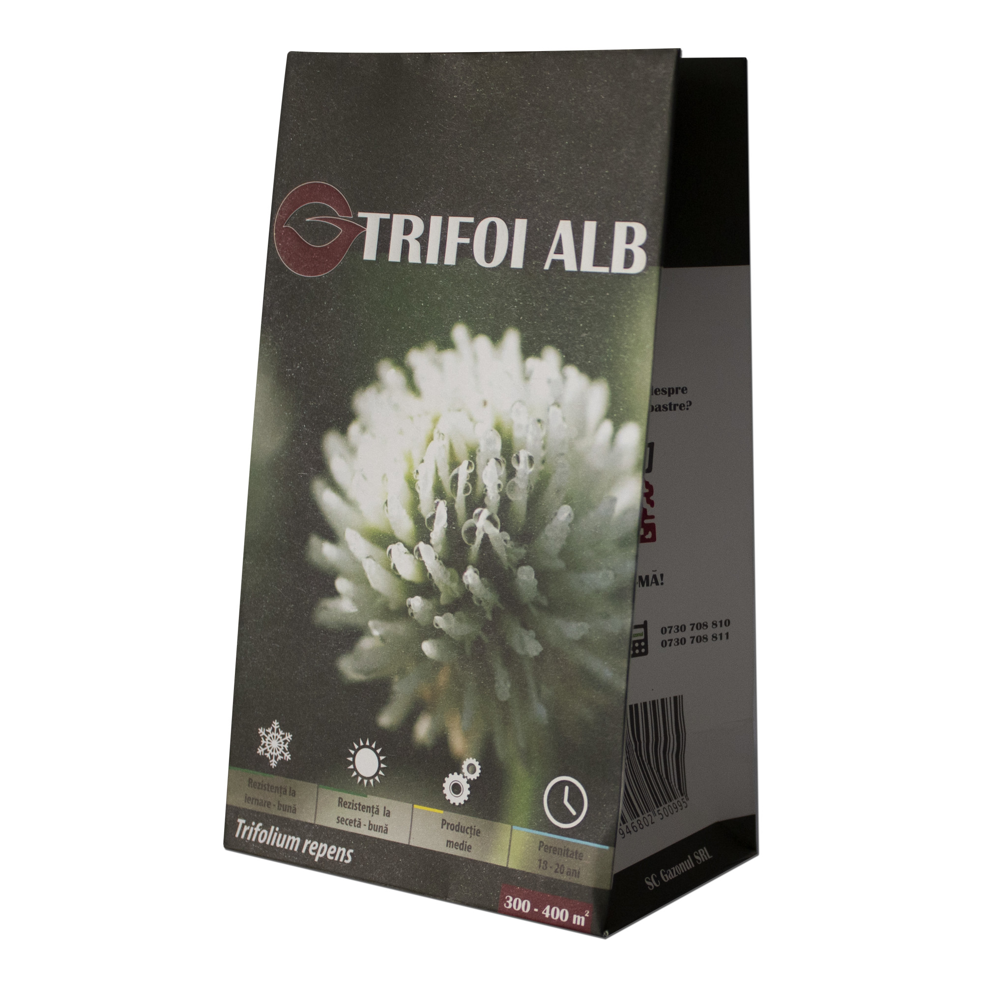 Seminte de Trifoi Alb (Trifolium repens) Gazonul 500g