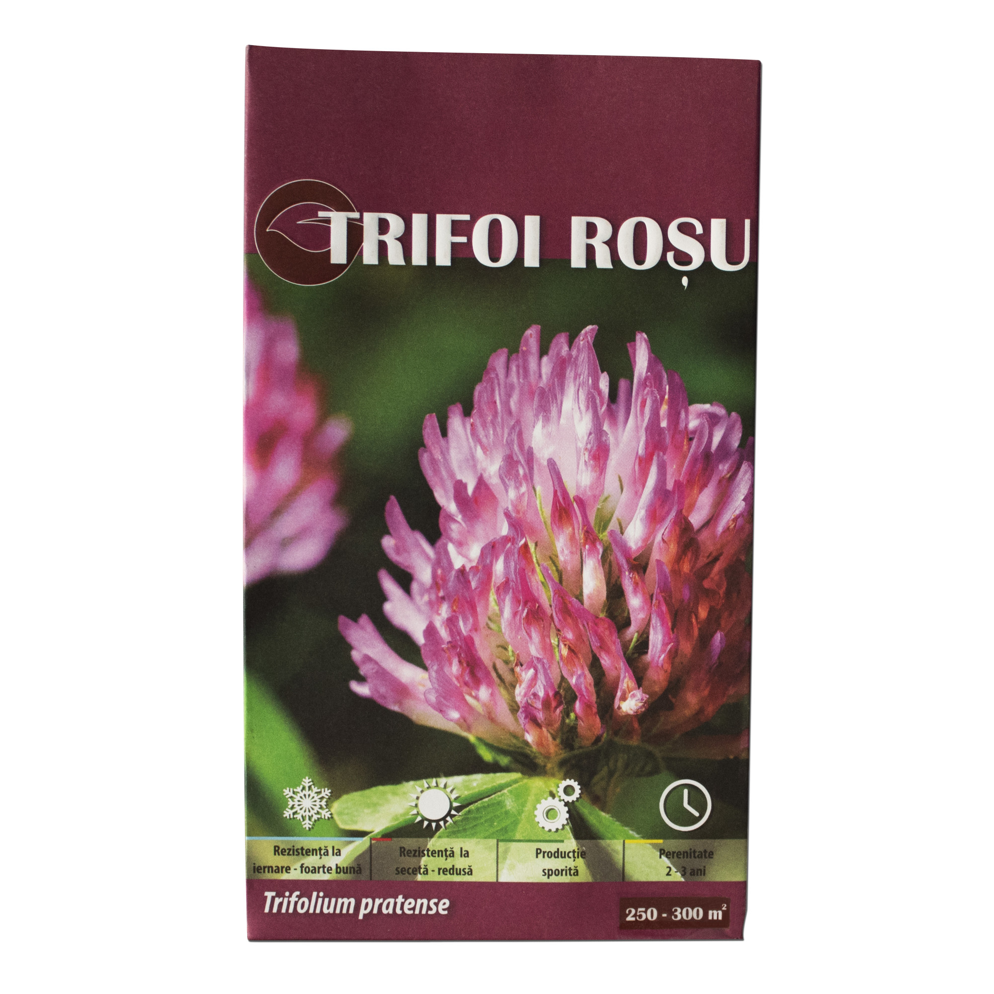 Seminte Trifoi Rosu (Trifolium pratense) Gazonul 500g